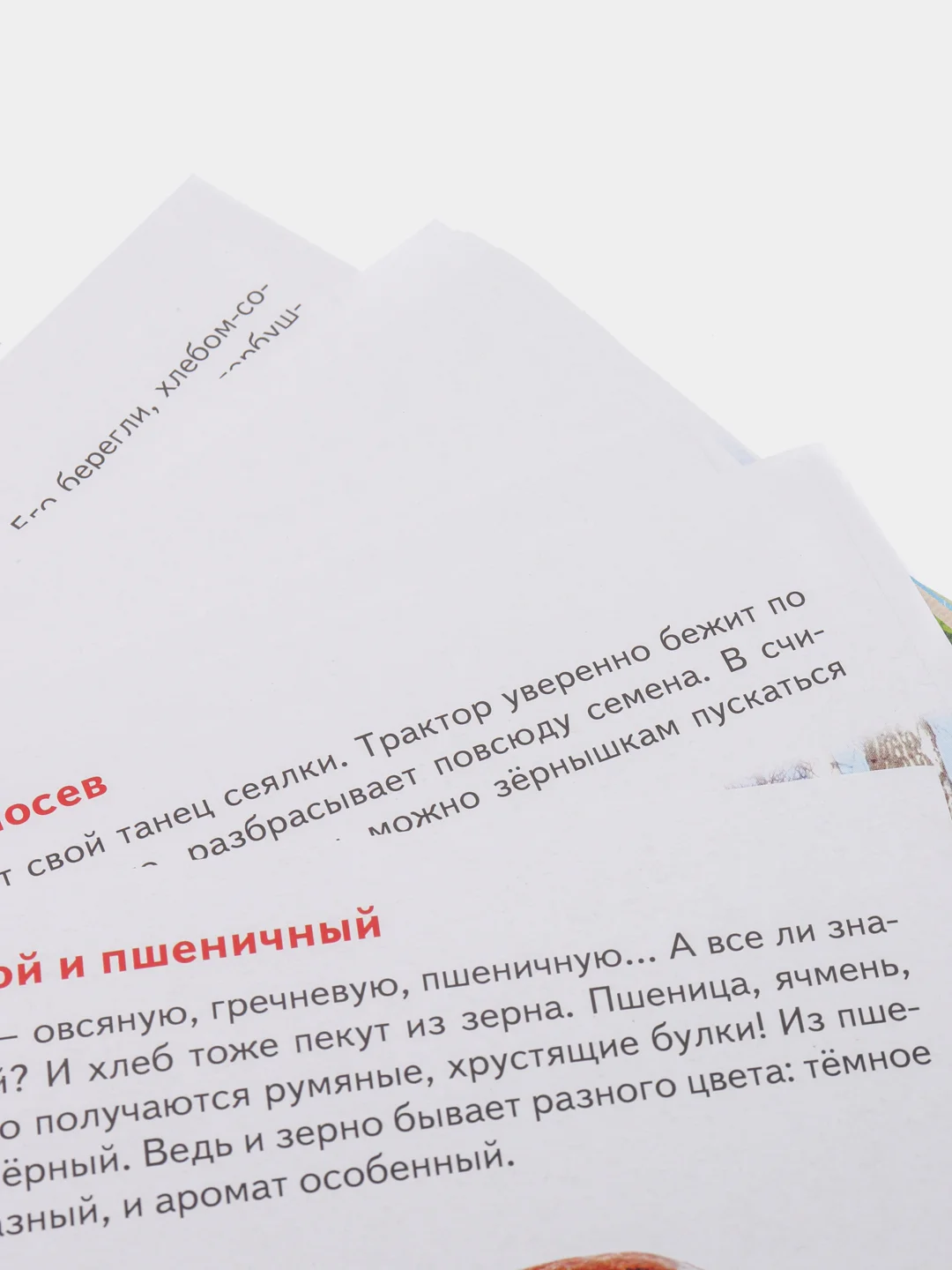 Как получается хлеб.  Обучающие карточки на картоне с познавательным текстом