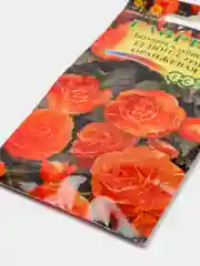 Бегония, Нон стоп, Оранжевая, семена, цветы