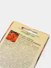Бегония, Нон стоп, Оранжевая, семена, цветы