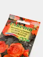 Бегония, Нон стоп, Оранжевая, семена, цветы