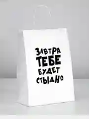Пакет подарочный с приколами, крафт, 24 х 14 х 30 см