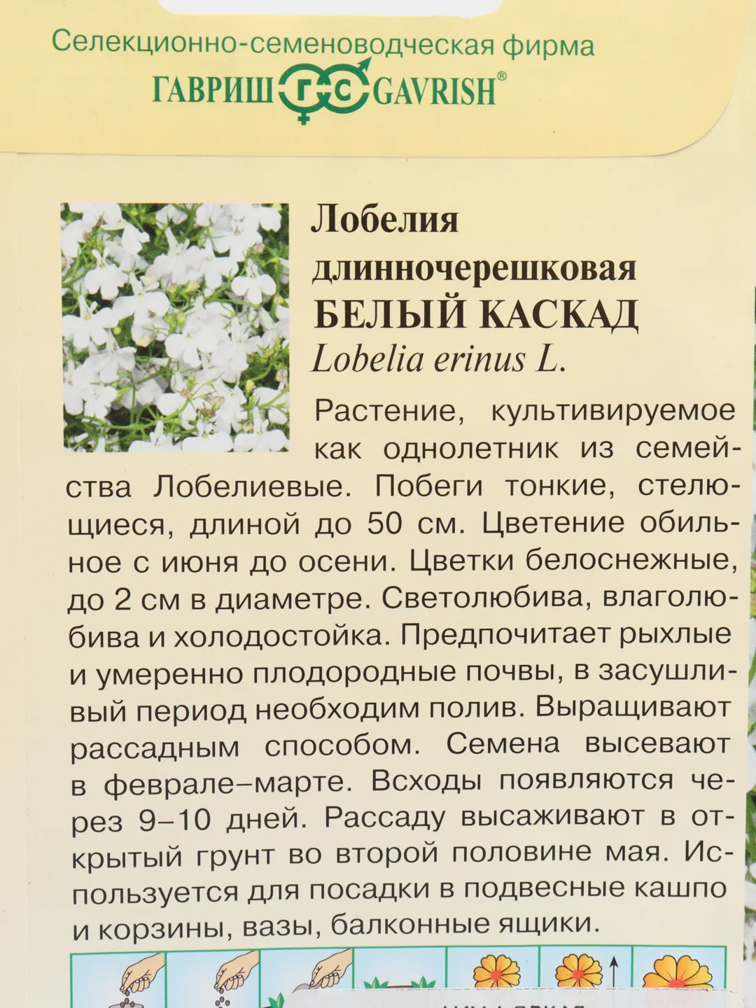 Лобелия Белый Каскад (семена)