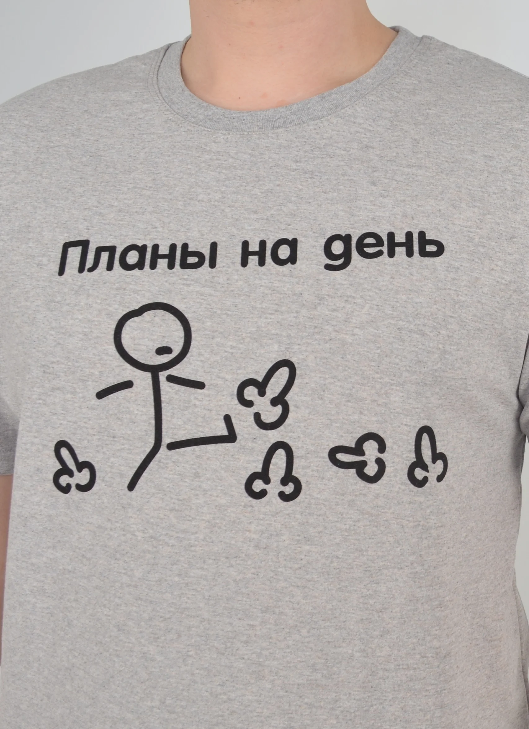Серый меланж футболка мужская "Чебоксарский трикотаж" с принтом Планы на день