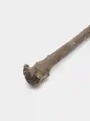 Искусственные ягоды растения цветы Красная ягода
