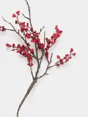 Искусственные ягоды растения цветы Красная ягода
