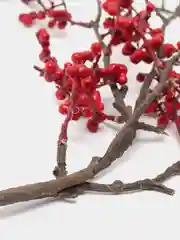 Искусственные ягоды растения цветы Красная ягода