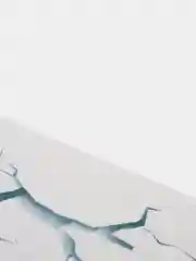 Серый 3d наклейка на авто "Страшный взгляд"