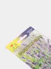 Лаванда Французская ривьера (семена,цветы)