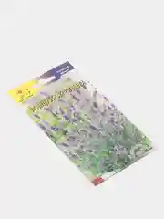 Лаванда Французская ривьера (семена,цветы)