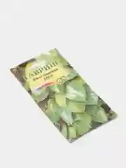 Семена цветы "Фикус Эдем"
