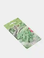 Салат руккола ореховая, семена плант
