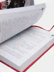Благословение небожителей, Том 1, Мосян Тунсю