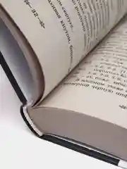 Морфий, Михаил Булгаков