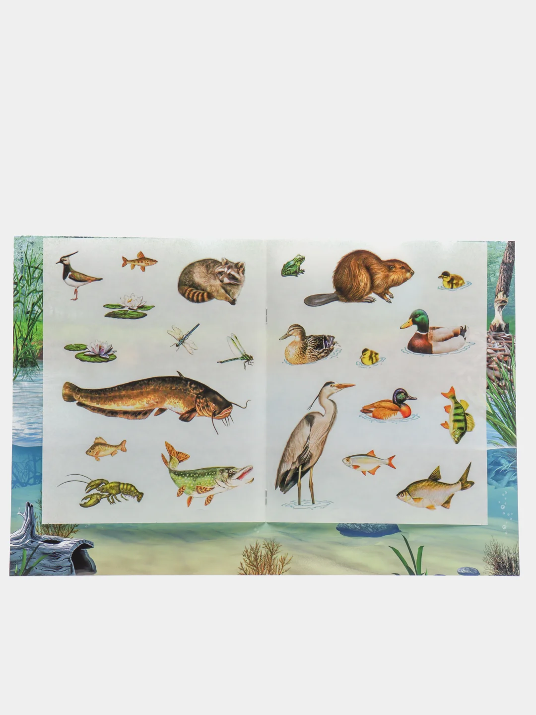 Лавандовый книга с наклейками