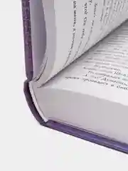 Девушка из песни, Эмма Скотт