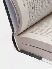 Человек, который смеется, Виктор Гюго