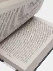 Человек, который смеется, Виктор Гюго