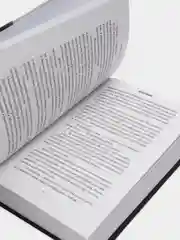 Святые грешники. Неистовый. Л. Дж. Шэн