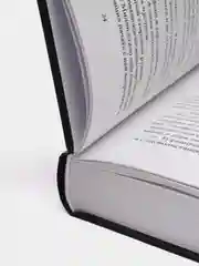 Святые грешники. Неистовый. Л. Дж. Шэн