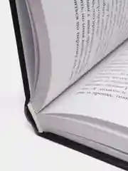 Леди Тремейн. История злой мачехи, Серена Валентино