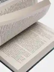 Золотые земли. Сокол и Ворон, Ульяна Черкасова