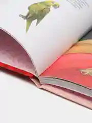 20 необыкновенных девочек, изменивших мир, Розальба Трояно
