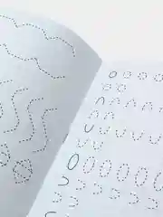 Прописи "Узоры по клеткам", 20 страниц, А4