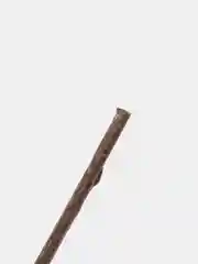 Мятные палочки для кошек 3 шт