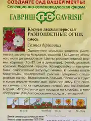 Серый семена. Космос (Космея) Разноцветные огни, смесь, цветы садовые