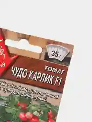 Томат "Чудо карлик" (семена)