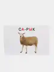 Красный дидактические карты на татарском языке. Животные. Птицы. Деревья. 20 карточек. Формат А5