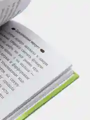 Заколдованный портрет, Холли Вебб