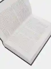 И вспыхнет пламя. Новое издание, Сьюзен Коллинз