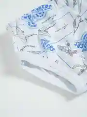 Трусы для мальчика, комплект 2 шт
