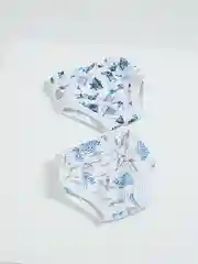 Трусы для мальчика, комплект 2 шт
