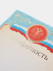 Небесно-голубой благодарность, благодарственное письмо, герб РТ, герб РФ, размер 21*29,7 см