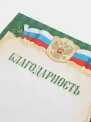 Зеленый благодарность, благодарственное письмо, герб РТ, герб РФ, размер 21*29,7 см