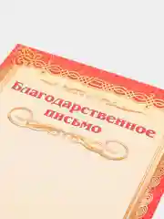 Красный благодарность, благодарственное письмо, герб РТ, герб РФ, размер 21*29,7 см