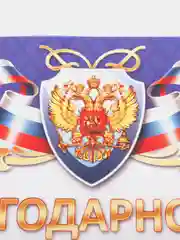 Аметистовый благодарность, благодарственное письмо, герб РТ, герб РФ, размер 21*29,7 см