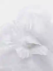 Бант