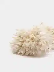 Молочный тычинки для цветов, матовые, 400 штук
