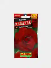 Бегония Камелия темно красная (семена,цветы)