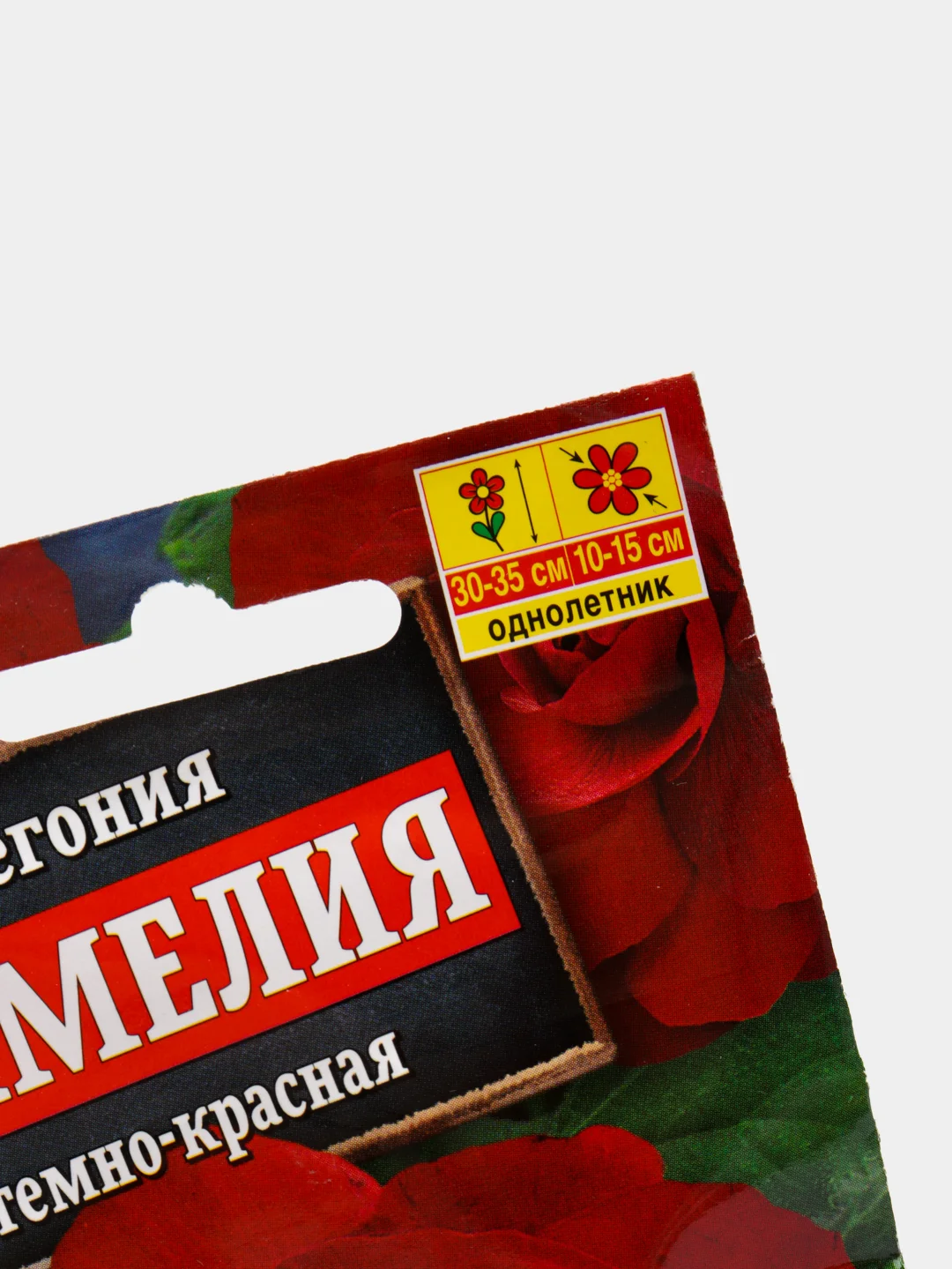 Бегония Камелия темно красная (семена,цветы)