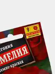 Бегония Камелия темно красная (семена,цветы)