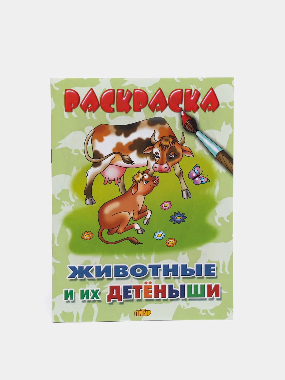 Комплект из 5 раскрасок для детей дошкольного возраста