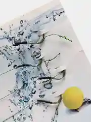 Карповые поводки с волосяной оснасткой+ игла и сверло для бойлов,оснащенные волос протяжка