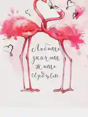 Пудровый мини-открытки