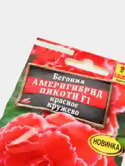 Бегония Америгибрид Пикоти красное кружево (семена,цветы)