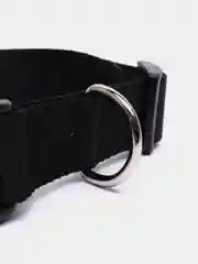 Черный ошейник нейлоновый для собак