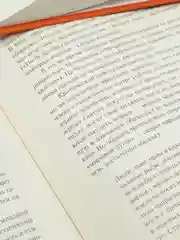 Полка: О главных книгах русской литературы (2 тома)